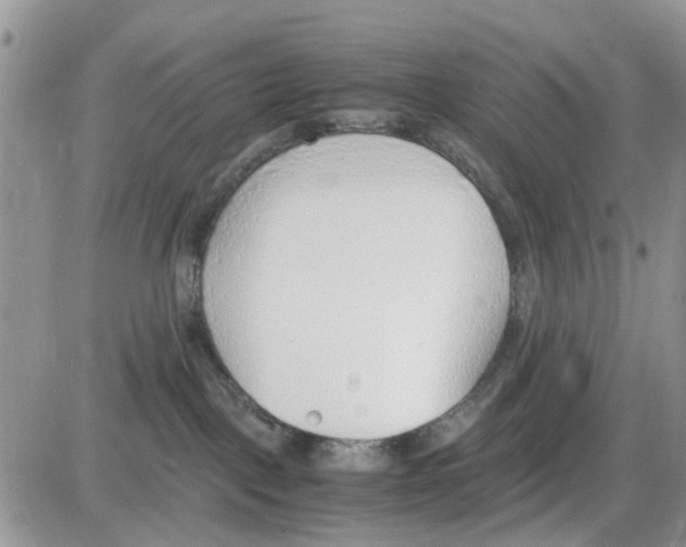 X0000086040093200704202022