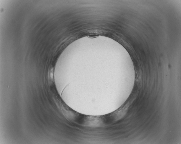 X0000086040095200704202022