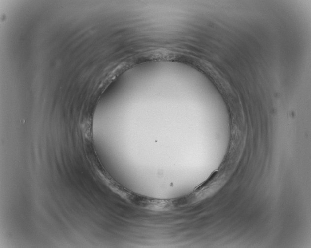 X0000086040096200704202022