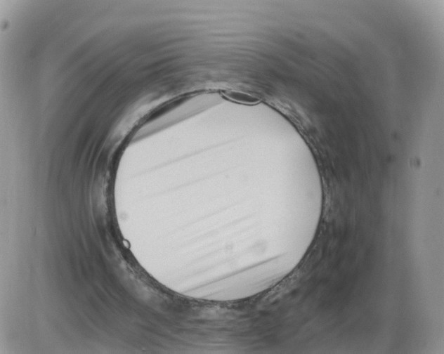 X0000086040098200704202021