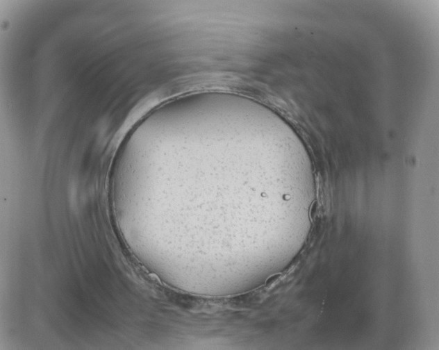 X0000086040099200704202021