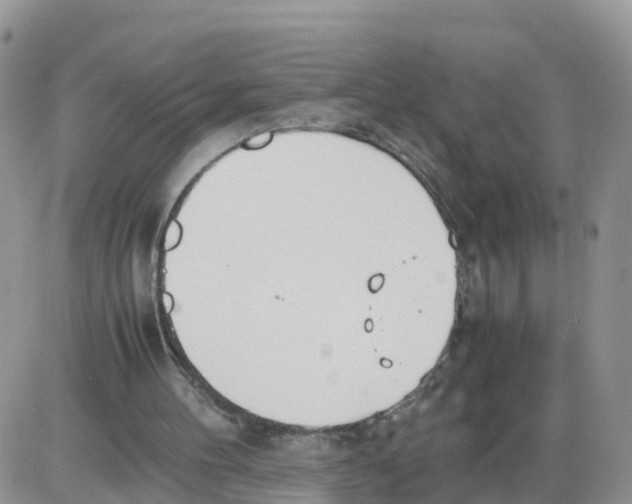 X0000086040100200704202021