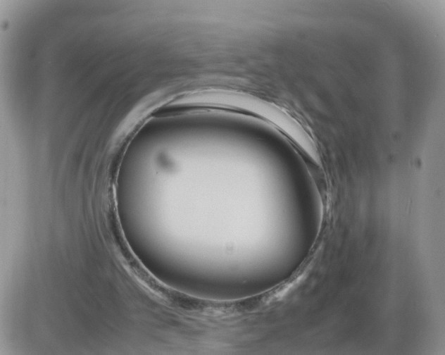 X0000086040101200704202021