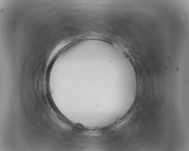 X0000086040102200704202021