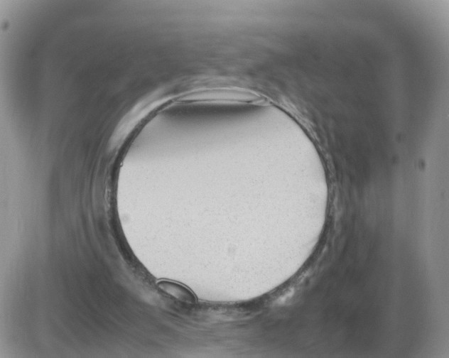 X0000086040103200704202021