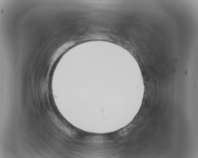 X0000086040104200704202021