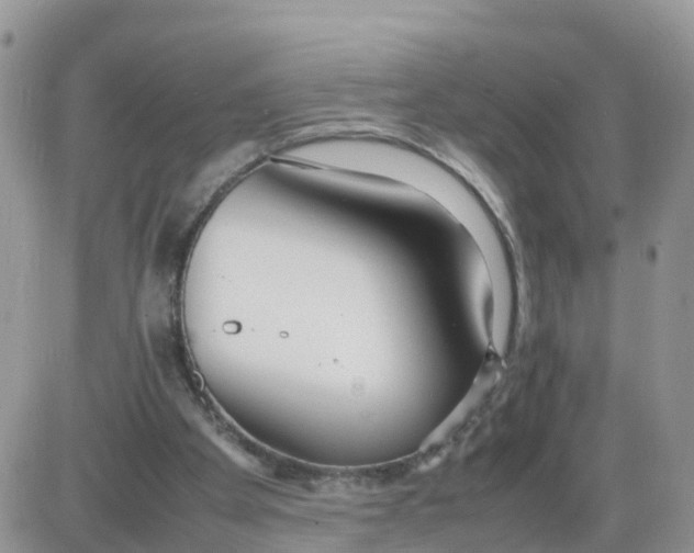 X0000086040105200704202021