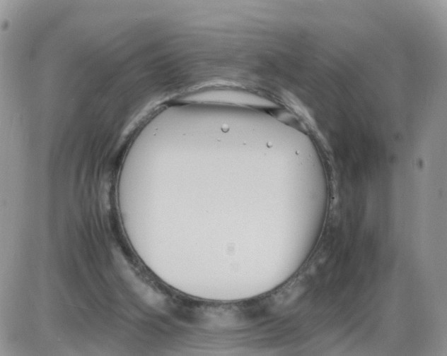 X0000086040106200704202021