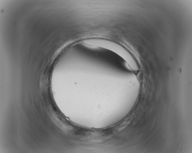 X0000086040107200704202021