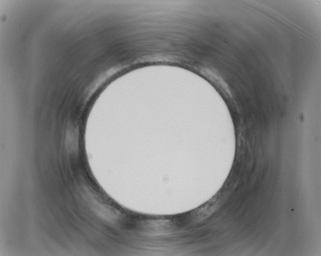 X0000086040108200704202021