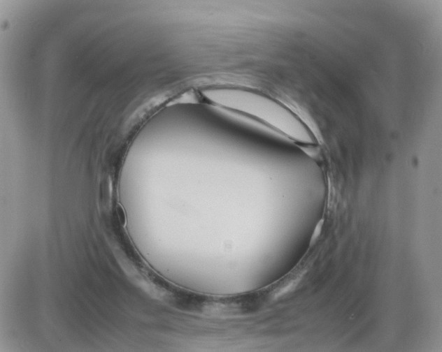 X0000086040109200704202021