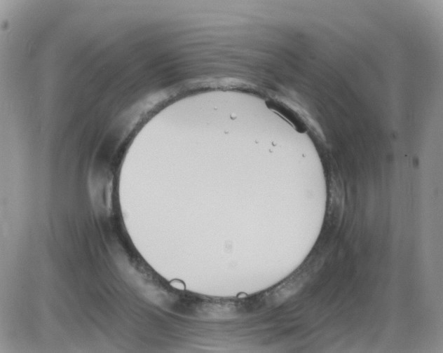 X0000086040110200704202021