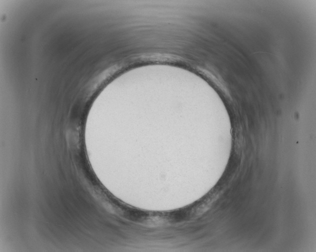 X0000086040111200704202021