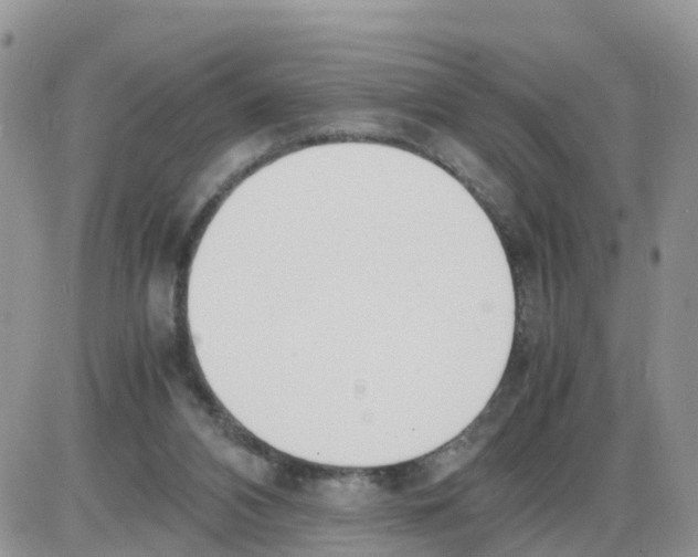 X0000086040112200704202021