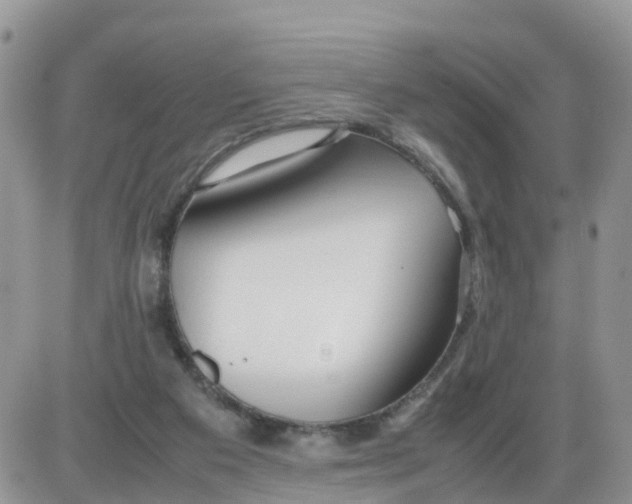 X0000086040113200704202021