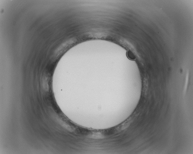 X0000086040114200704202021