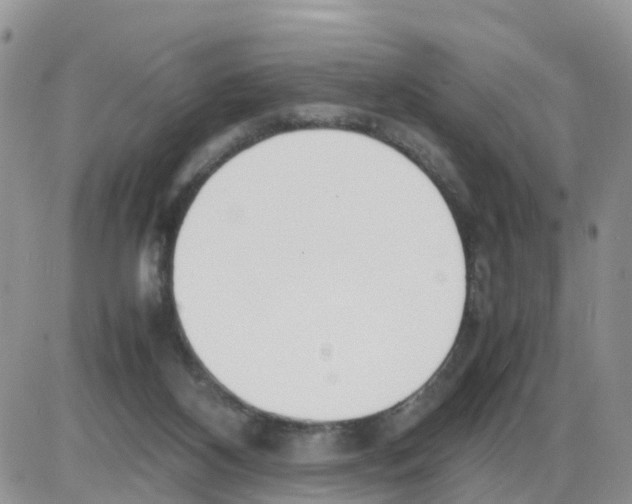 X0000086040116200704202021