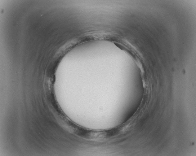 X0000086040117200704202021