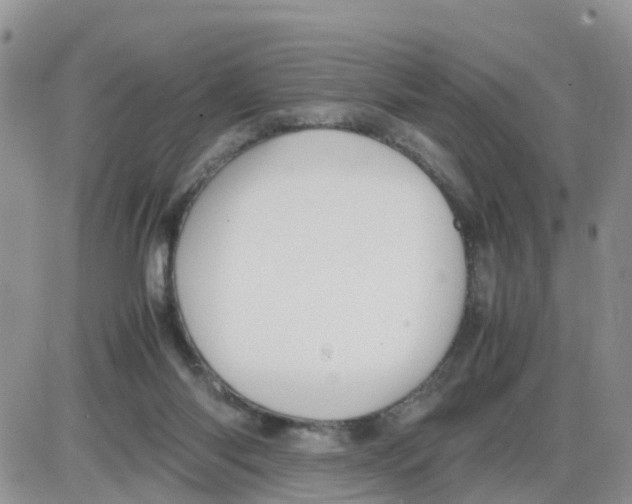 X0000086040118200704202021