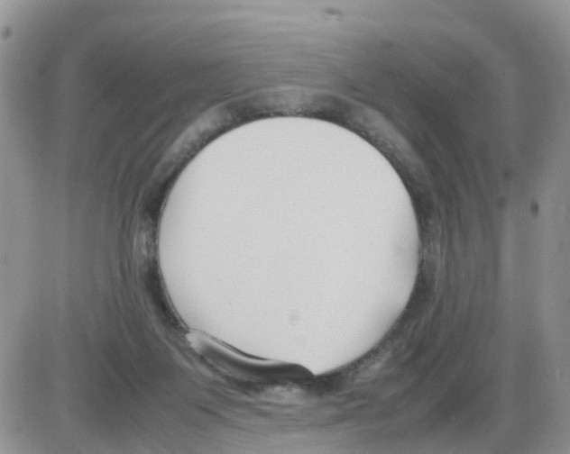 X0000086040119200704202021