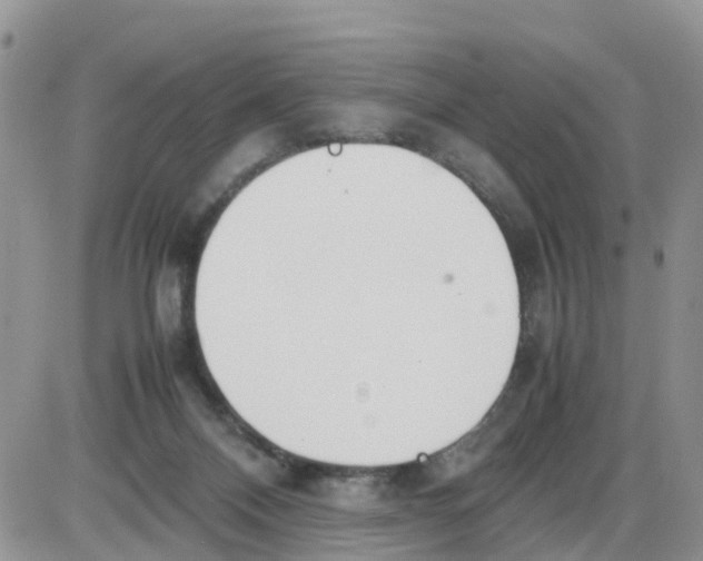 X0000086040120200704202021