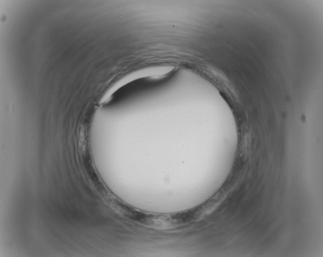 X0000086040121200704202021