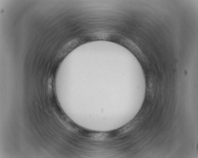 X0000086040122200704202021