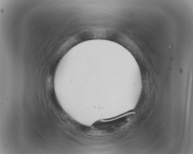 X0000086040123200704202021