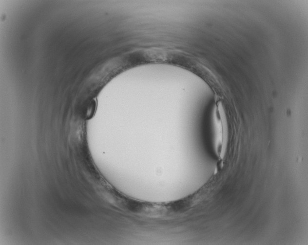 X0000086040125200704202020