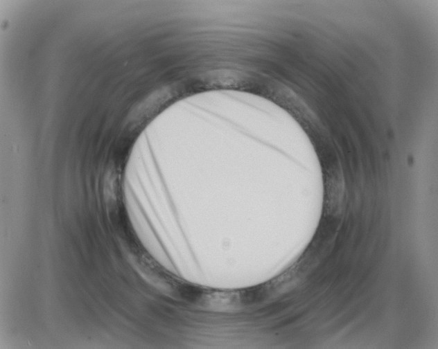 X0000086040126200704202020