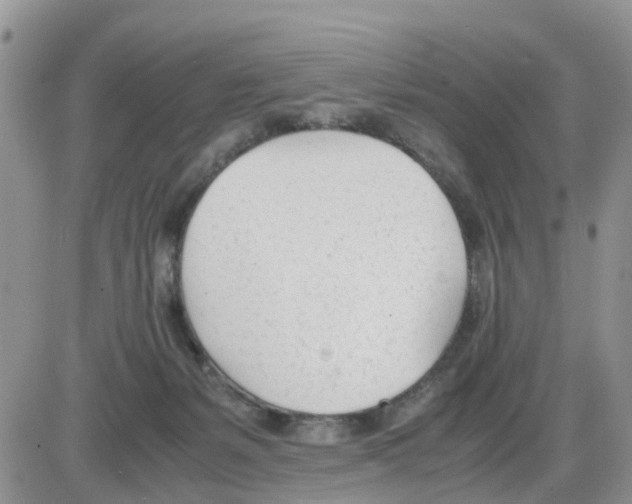 X0000086040127200704202020