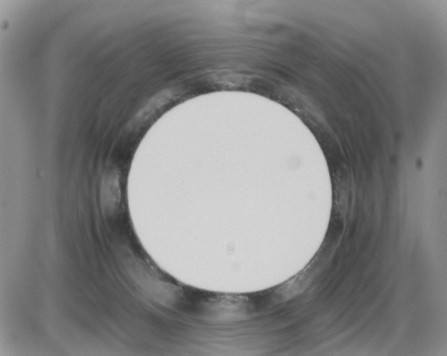 X0000086040128200704202020