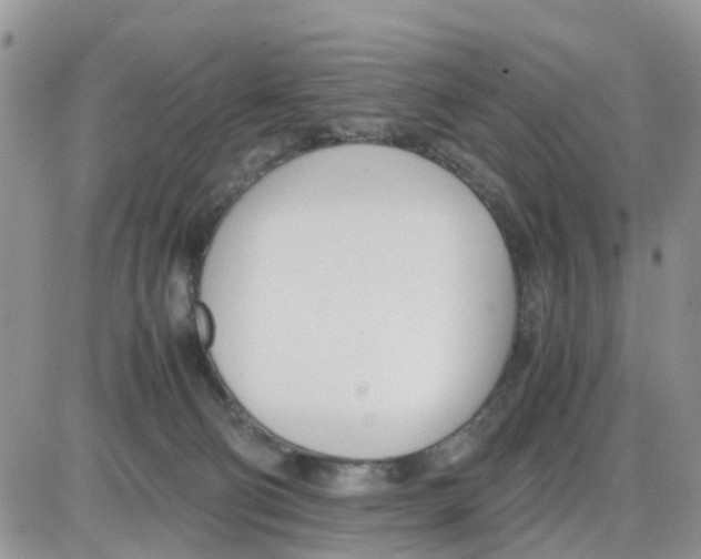 X0000086040130200704202020