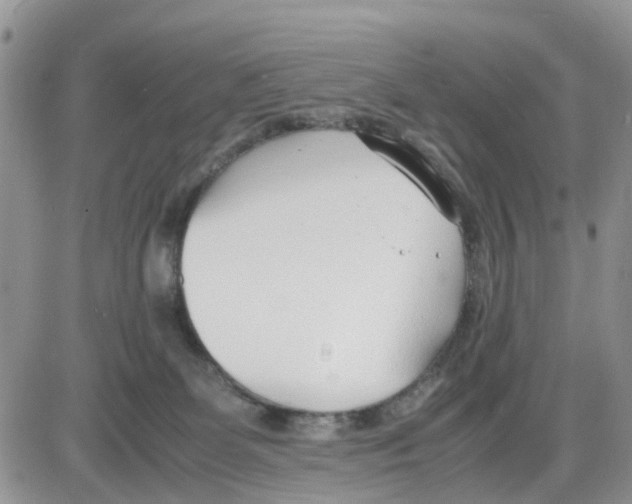 X0000086040131200704202020