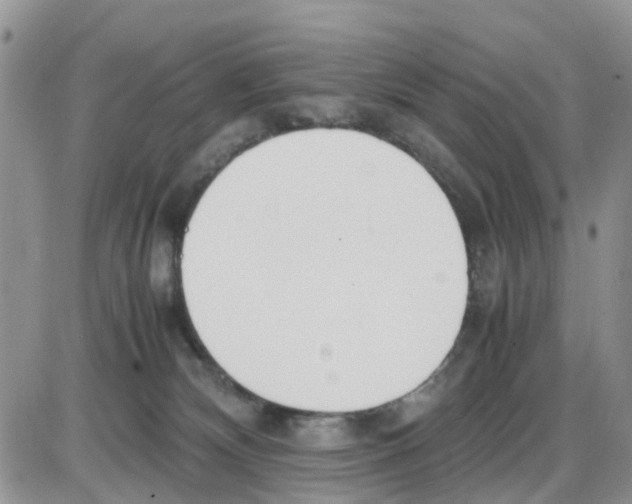 X0000086040132200704202020