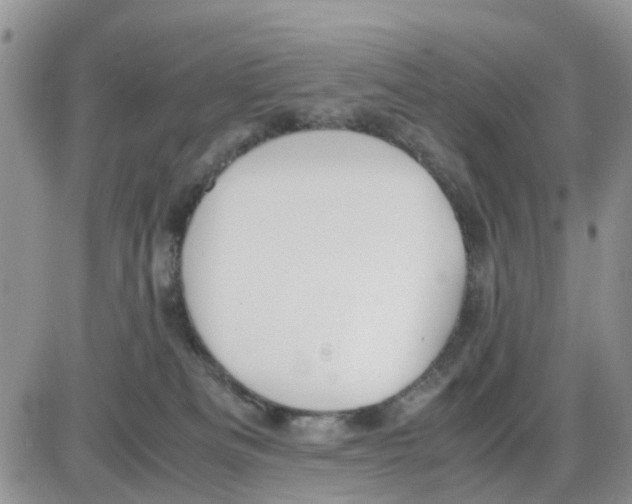 X0000086040133200704202020