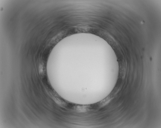 X0000086040134200704202020