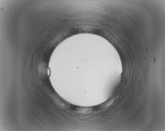 X0000086040135200704202020