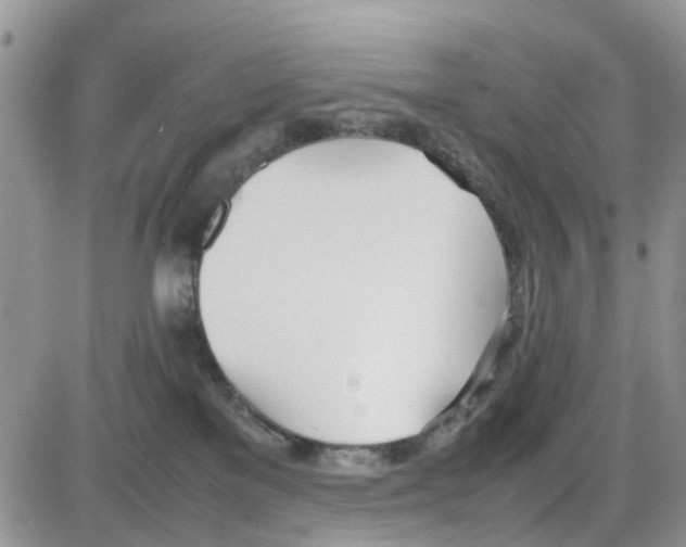 X0000086040137200704202020