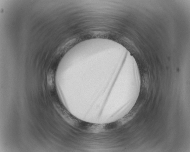 X0000086040138200704202020