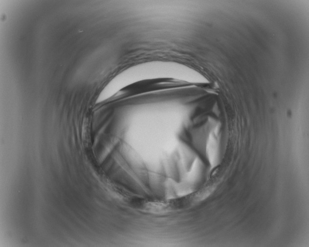 X0000086040139200704202020