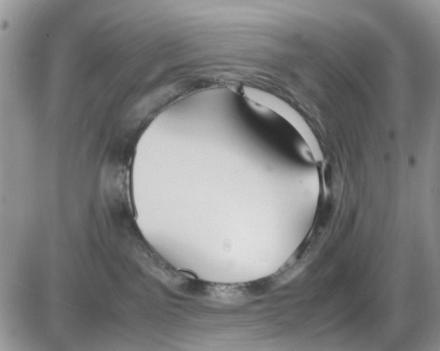 X0000086040141200704202020