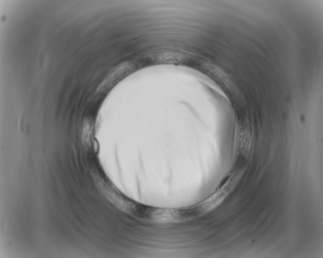 X0000086040142200704202020