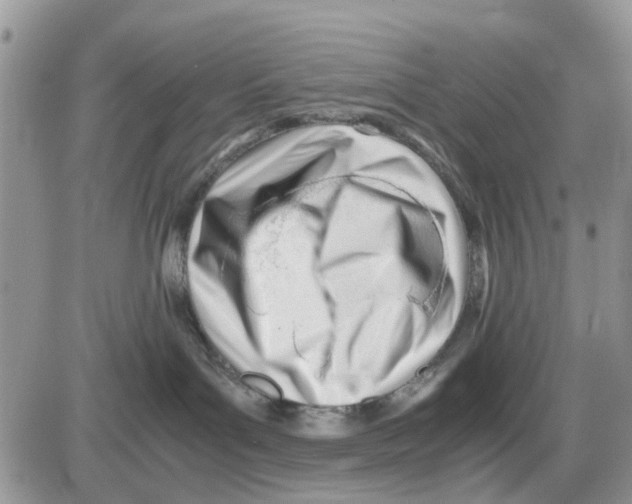 X0000086040143200704202020