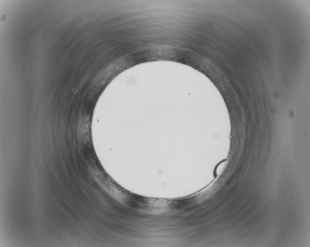 X0000086040144200704202020