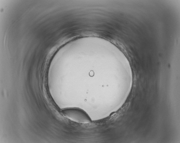 X0000086040145200704202019