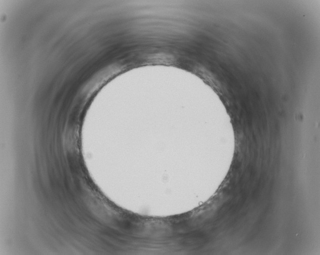 X0000086040146200704202019