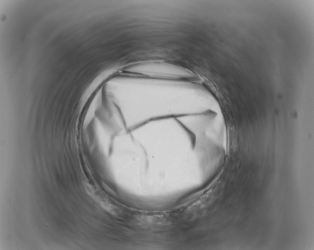 X0000086040147200704202019