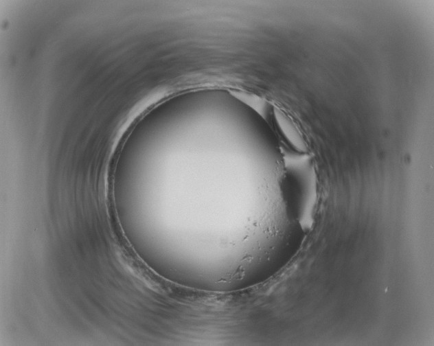 X0000086040148200704202019