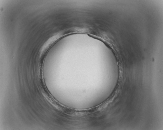 X0000086040149200704202019